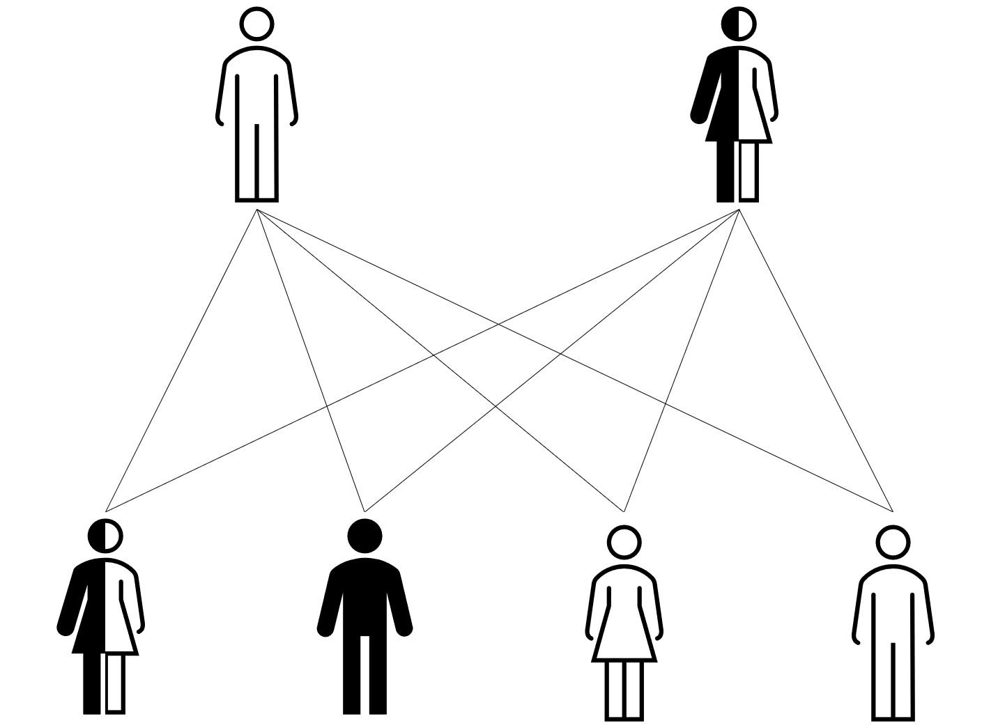 Symbolbild: menschliche Figuren, die miteinander vernetzt sind im Sinne einer X-chromosomalen Vererbung.