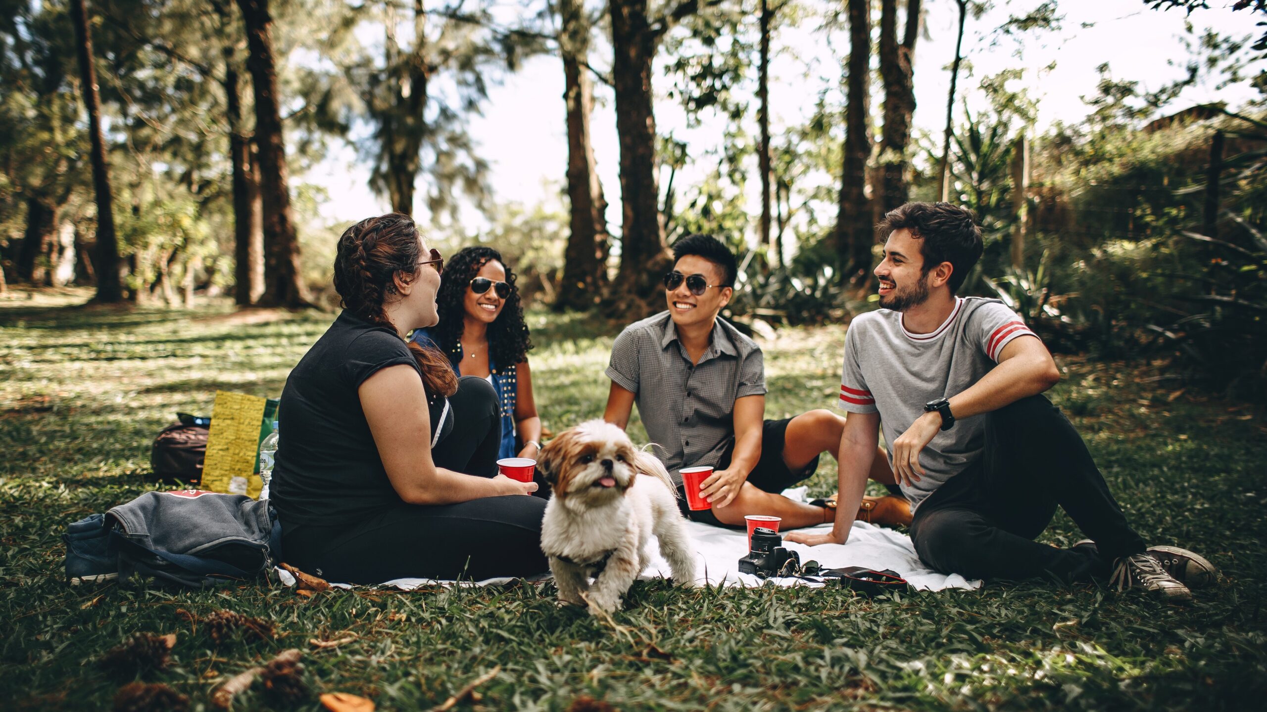 Vier Freunde und ein kleiner Hund beim Picknicken im Gras.