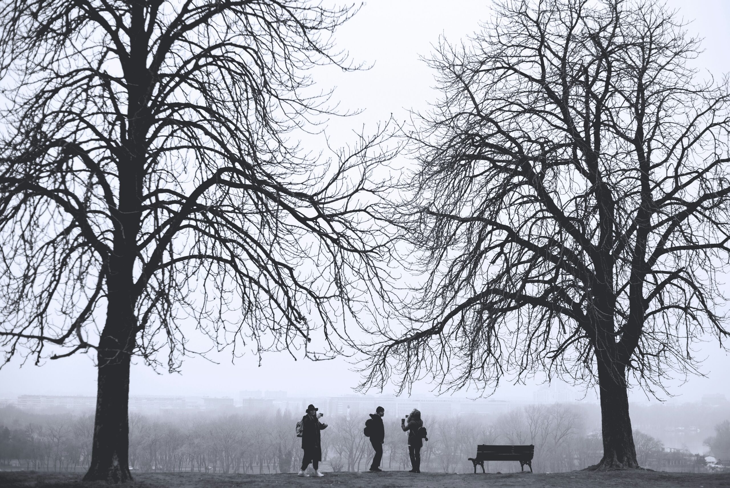 Schwarz-weisse Winterlandschaft mit zwei Bäumen rechts und links. In der Mitte sind drei junge Personen und eine Parkbank zu sehen.