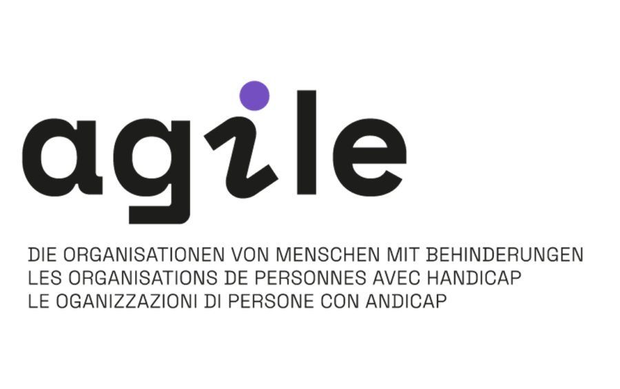 Stellenanzeige vom Dachverband Agile als Mitarbeiter*in «Interessenvertretung und Networking»